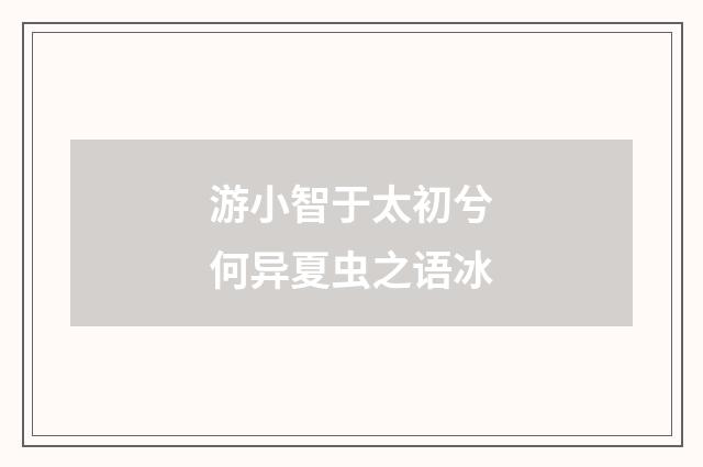 游小智于太初兮何异夏虫之语冰