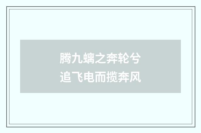 腾九螭之奔轮兮追飞电而揽奔风