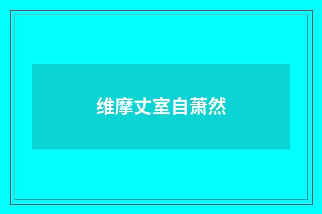 维摩丈室自萧然