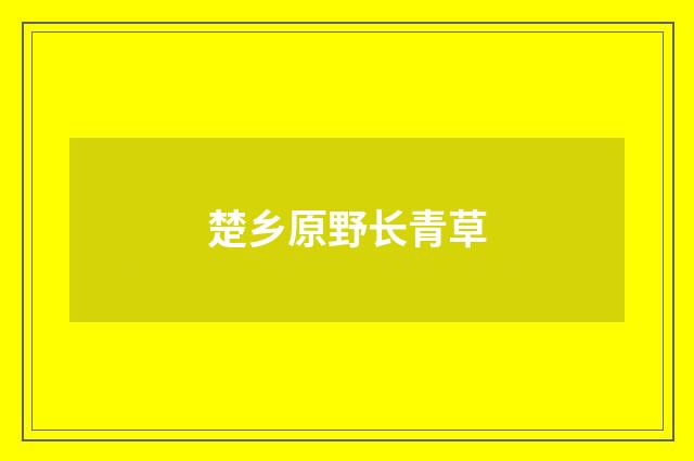 楚乡原野长青草