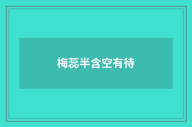 梅蕊半含空有待