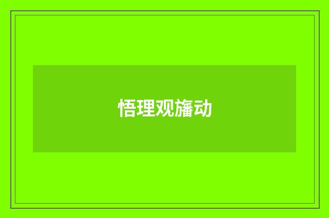 悟理观旛动
