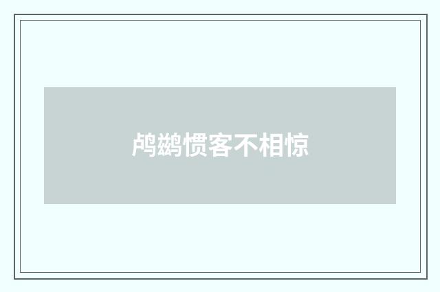 鸬鹚惯客不相惊
