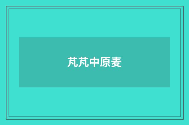芃芃中原麦