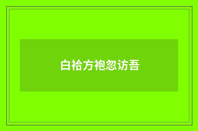 白袷方袍忽访吾
