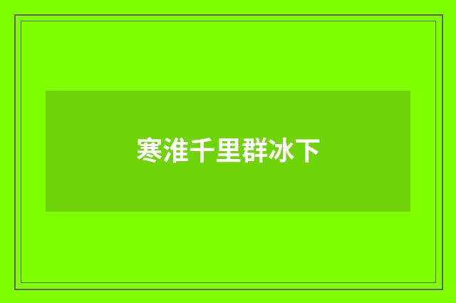寒淮千里群冰下