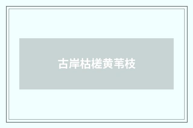 古岸枯槎黄苇枝