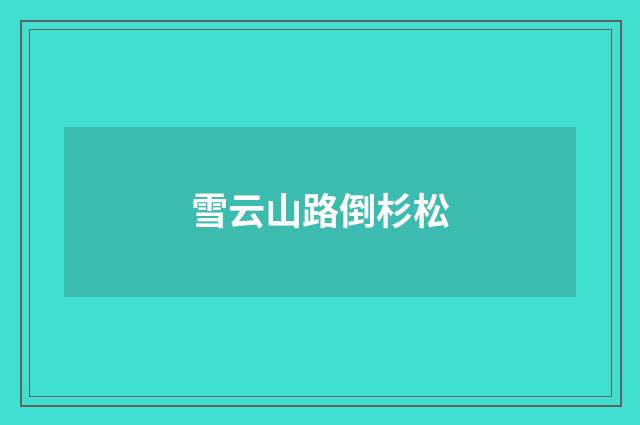雪云山路倒杉松
