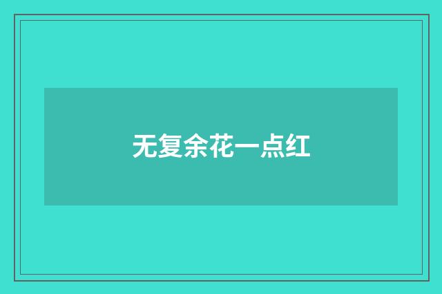 无复余花一点红