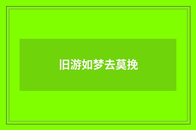 旧游如梦去莫挽