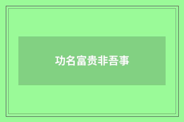 功名富贵非吾事