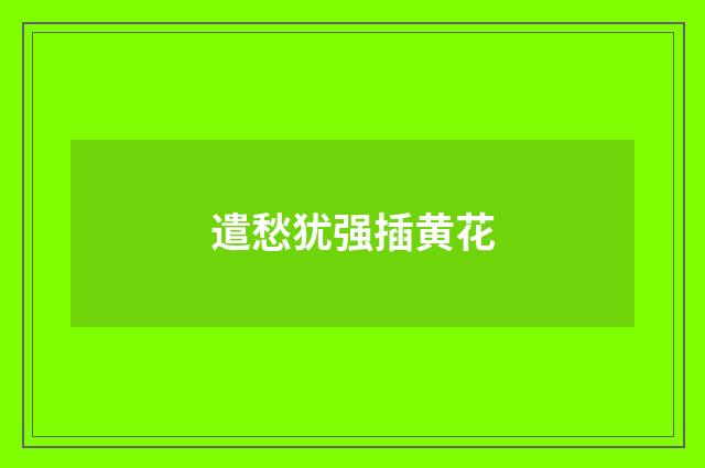 遣愁犹强插黄花