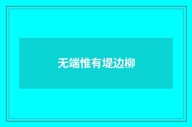 无端惟有堤边柳