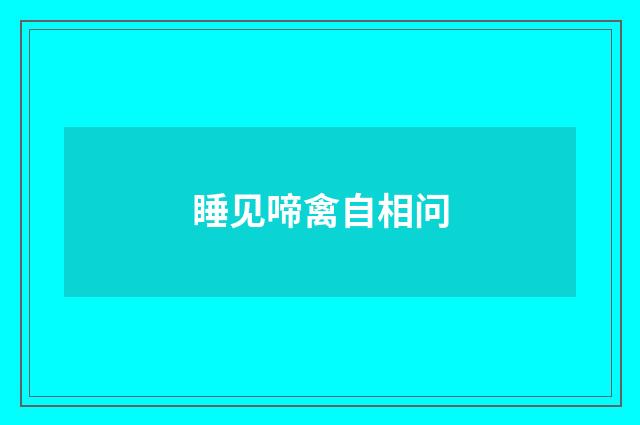 睡见啼禽自相问