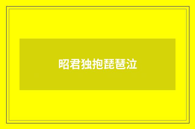 昭君独抱琵琶泣