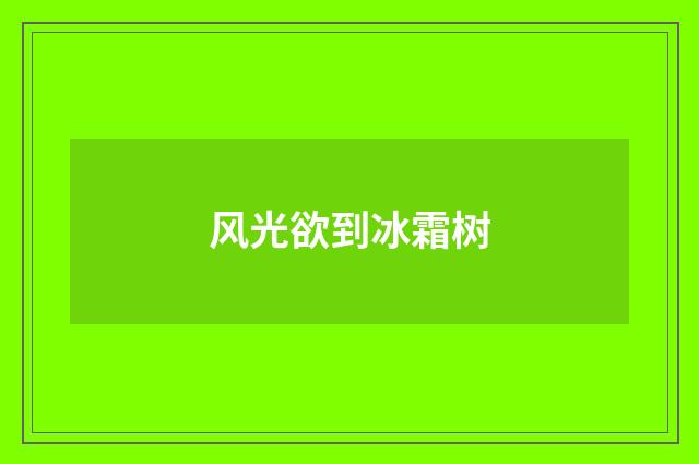 风光欲到冰霜树