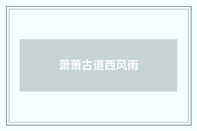 萧萧古道西风雨