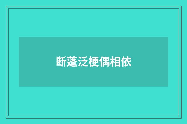 断蓬泛梗偶相依