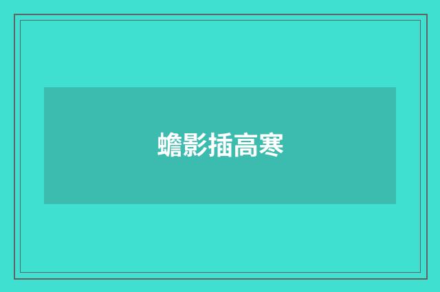 蟾影插高寒