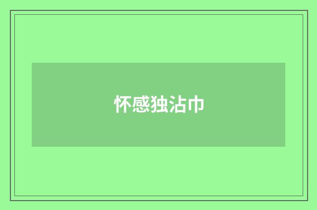 怀感独沾巾