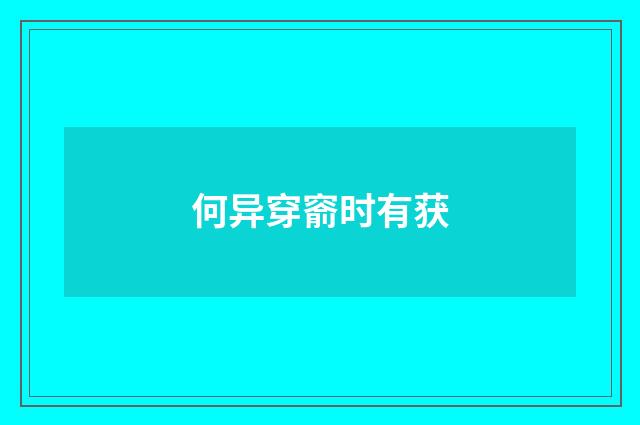 何异穿窬时有获