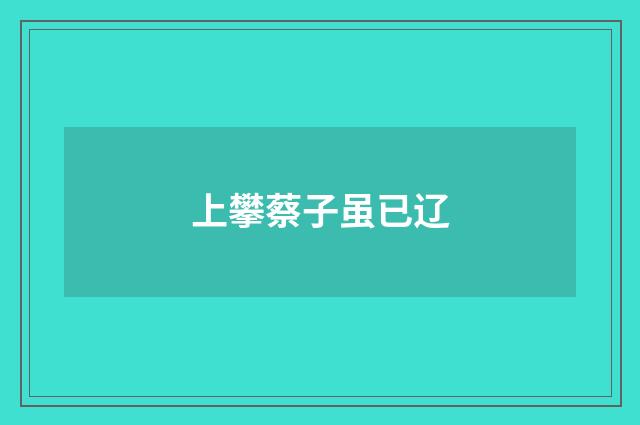 上攀蔡子虽已辽