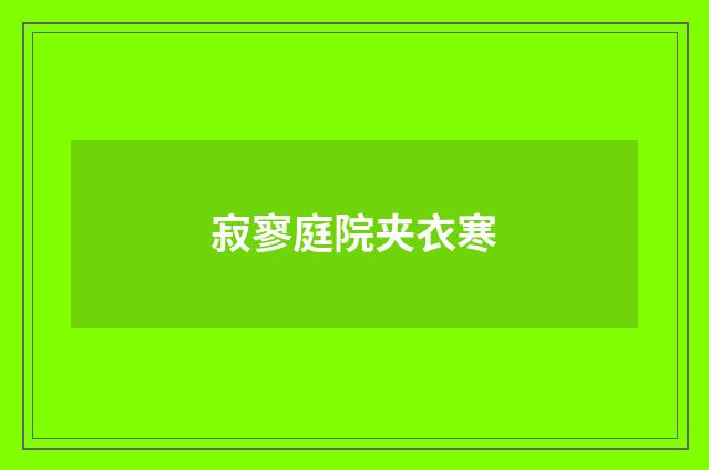 寂寥庭院夹衣寒