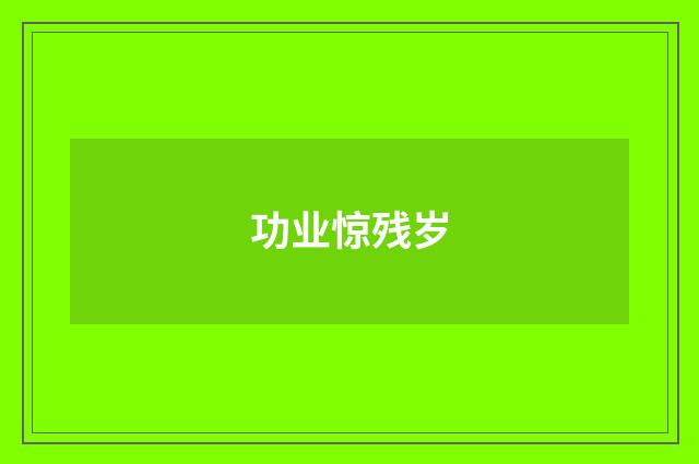 功业惊残岁