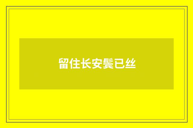 留住长安鬓已丝