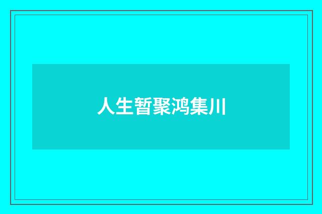人生暂聚鸿集川
