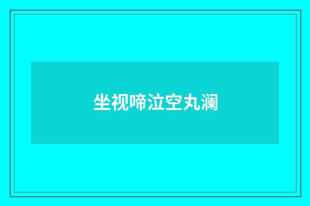 坐视啼泣空丸澜