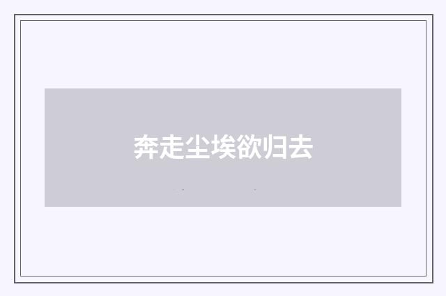 奔走尘埃欲归去