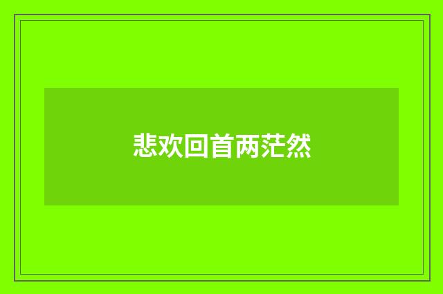 悲欢回首两茫然