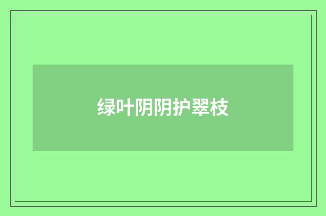 绿叶阴阴护翠枝