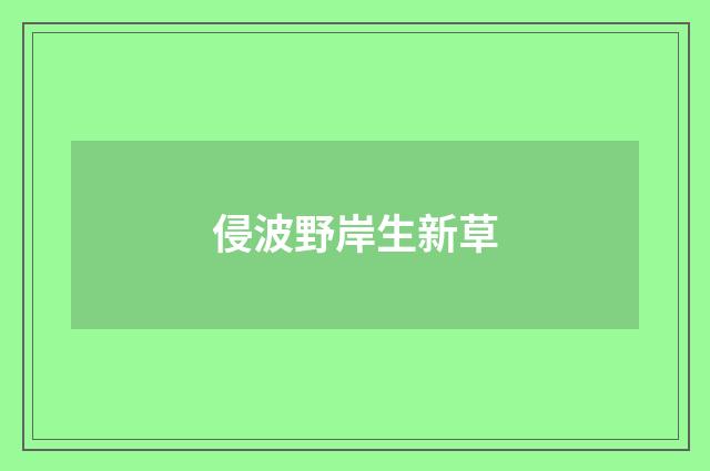 侵波野岸生新草