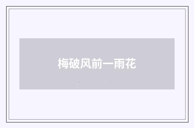 梅破风前一雨花