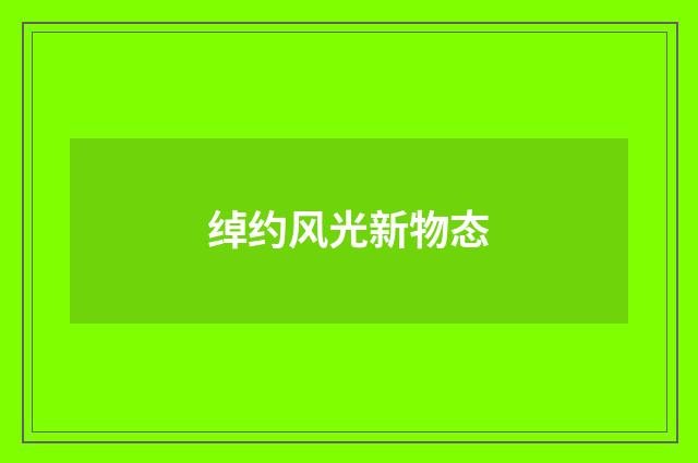 绰约风光新物态