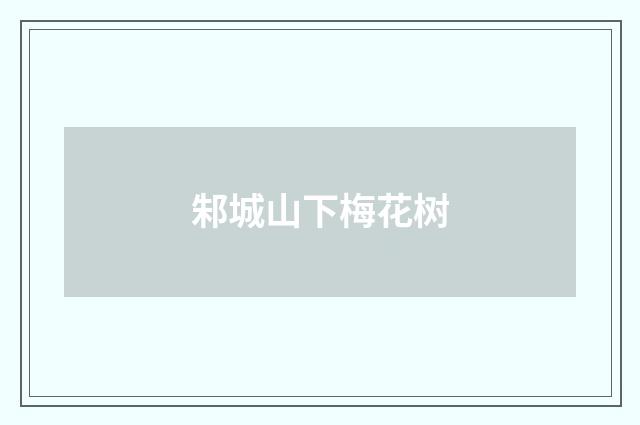 邾城山下梅花树