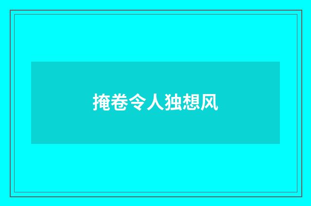 掩卷令人独想风