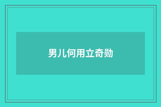 男儿何用立奇勋