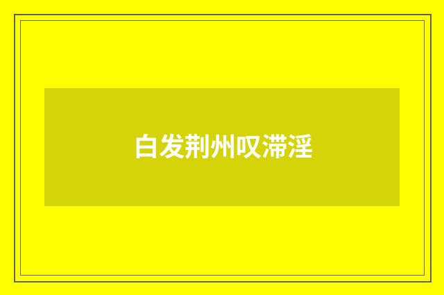 白发荆州叹滞淫
