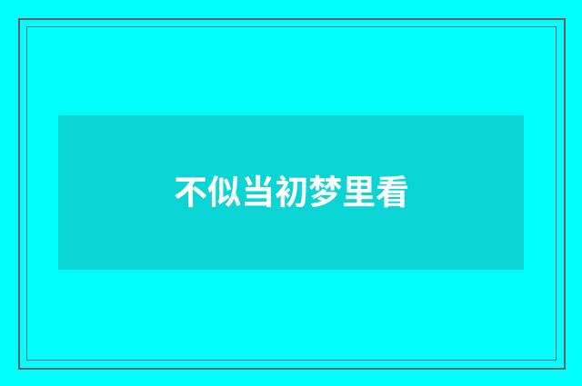不似当初梦里看
