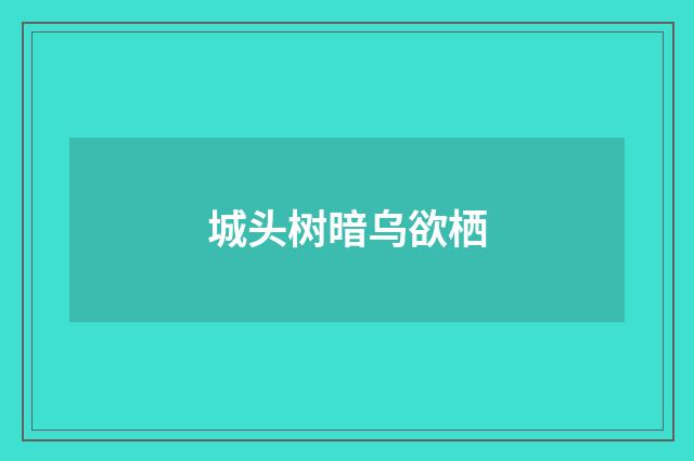 城头树暗乌欲栖
