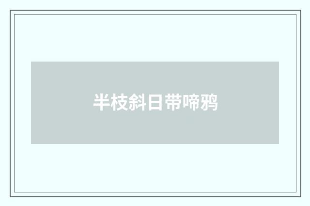 半枝斜日带啼鸦