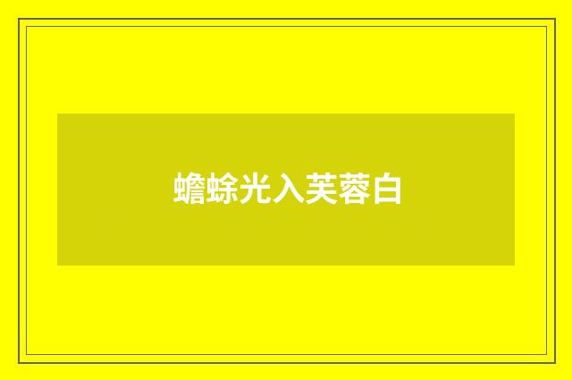 蟾蜍光入芙蓉白