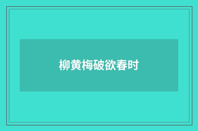 柳黄梅破欲春时