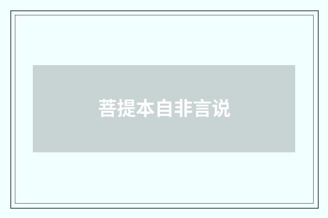 菩提本自非言说