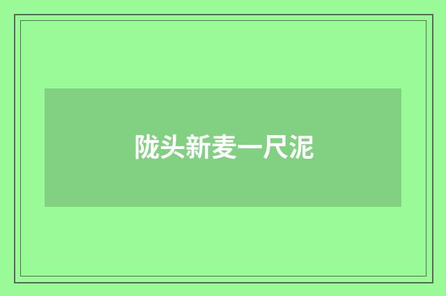 陇头新麦一尺泥
