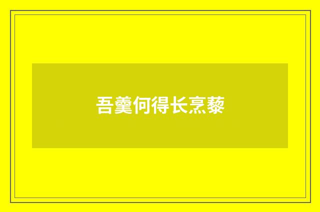 吾羹何得长烹藜