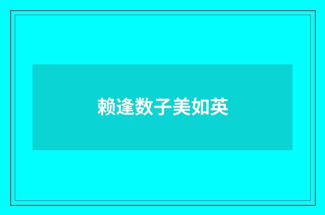 赖逢数子美如英